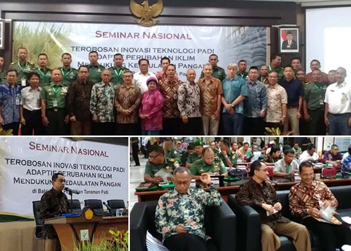 Balitbangtan Tingkatkan Adaptabilitas Padi terhadap Perubahan Iklim Global